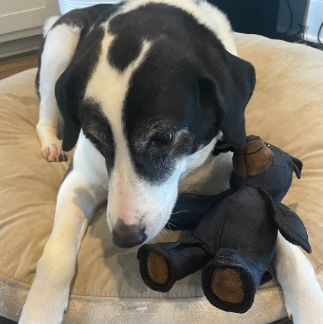 FurryGroom™ Mighty Bear Tough Chewer Buddy