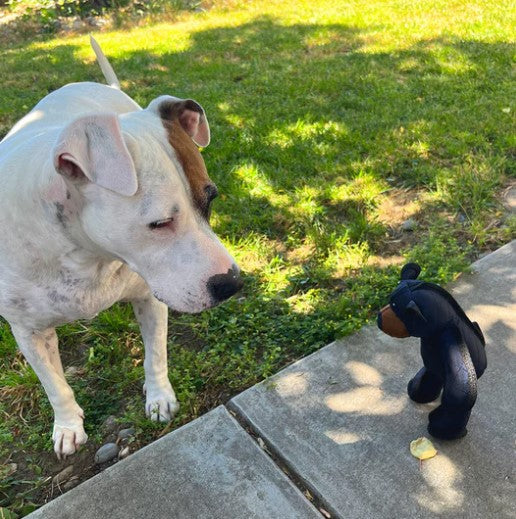 FurryGroom™ Mighty Bear Tough Chewer Buddy