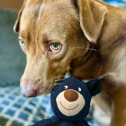 FurryGroom™ Mighty Bear Tough Chewer Buddy