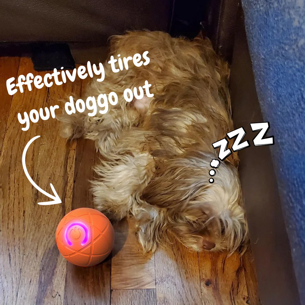 Pet Joy™ Doggy Disc Lighting Ball