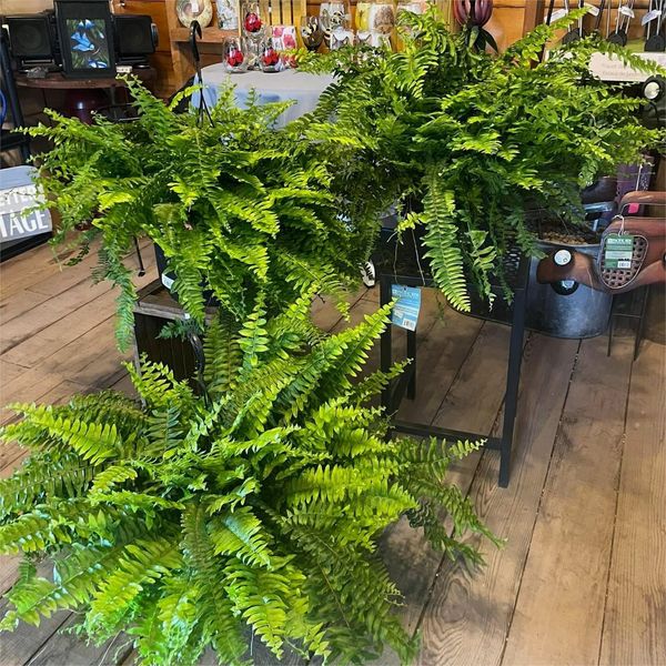 HomiEase™ EverVivid UV Artificial Plant