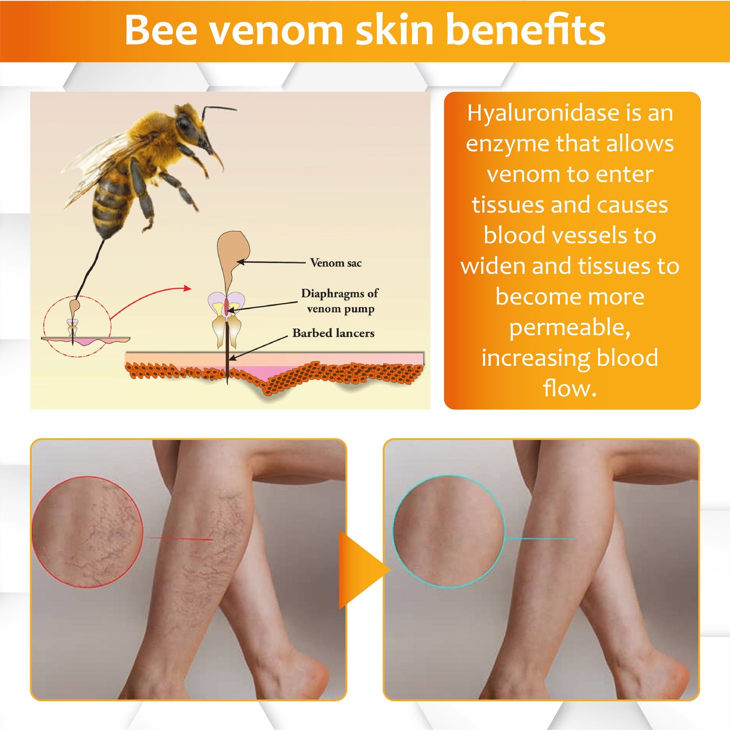 ATTDX® Apis Venom Vein Soothing Cream