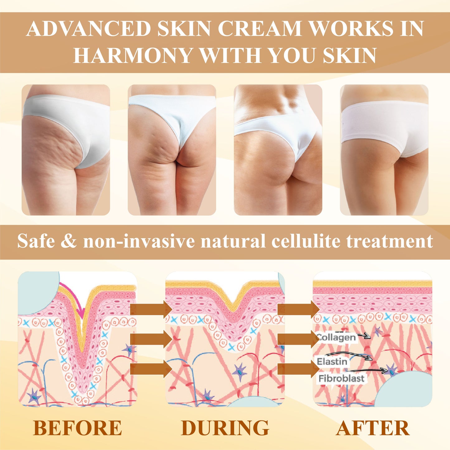 ApisDerm™ Royal Jelly Multi-Action BeeFirming Cream