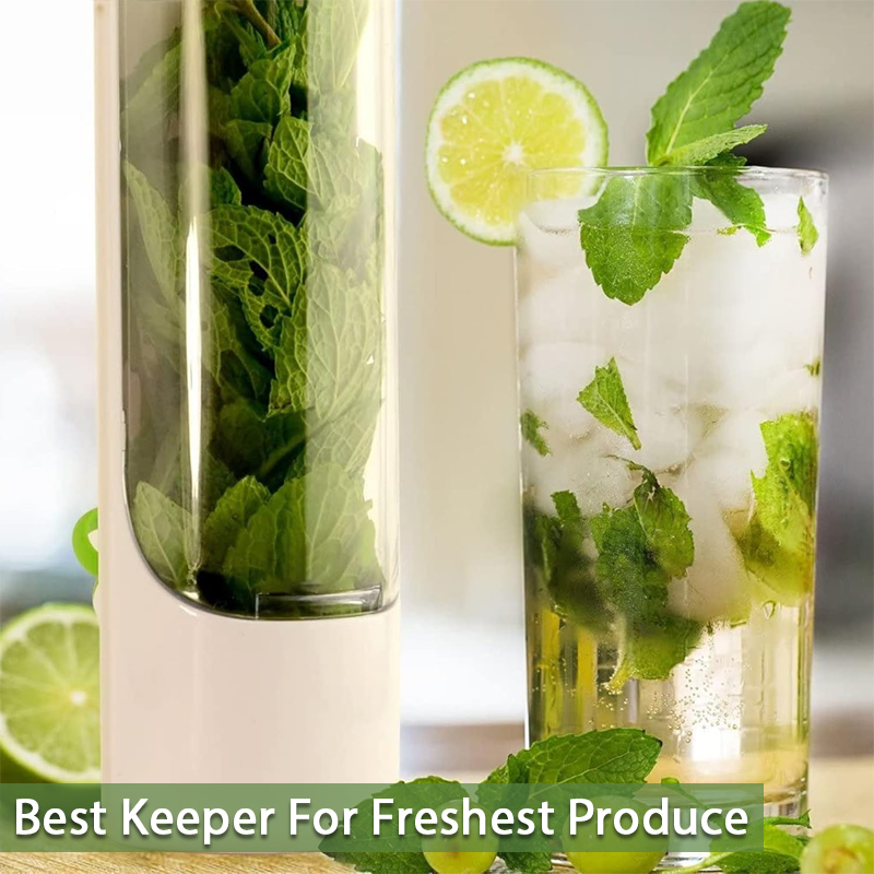 KitchenHarbor™ VeggieSaver Capsule Container