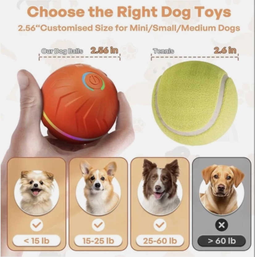 Pet Joy™ Doggy Disc Lighting Ball