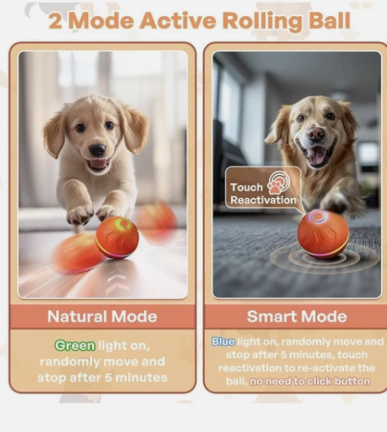 Pet Joy™ Doggy Disc Lighting Ball