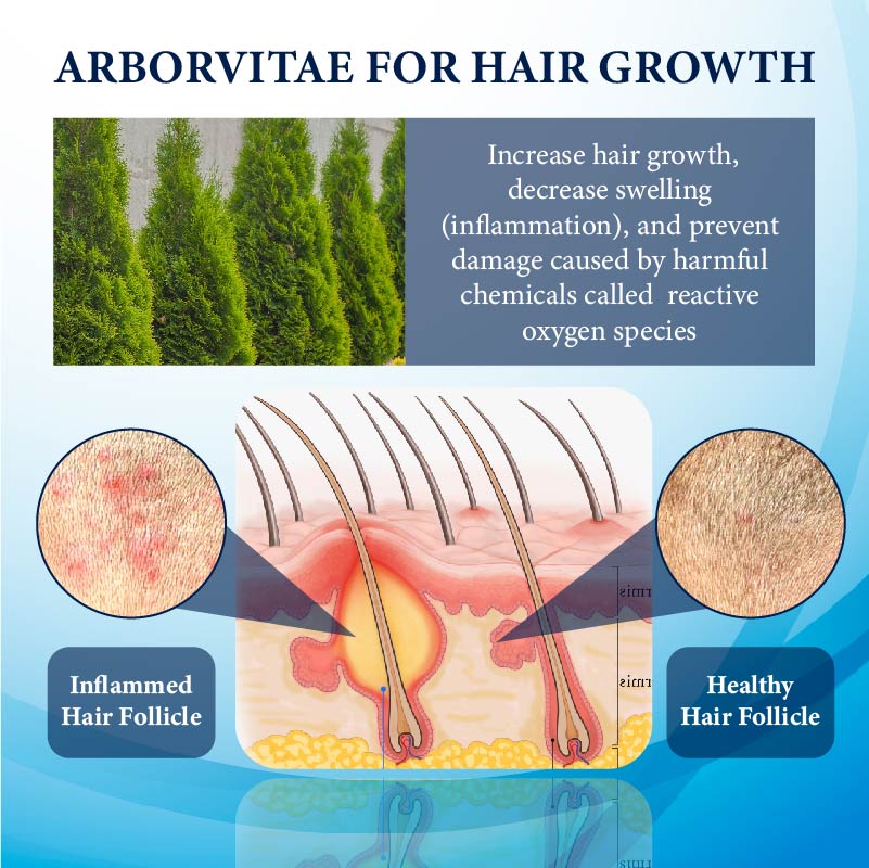 FolliFusion™ ThickBoost Herbal HairGrowth Serum for Men