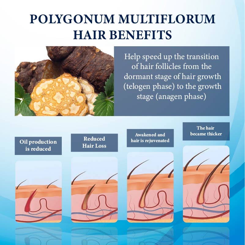 FolliFusion™ ThickBoost Herbal HairGrowth Serum for Men