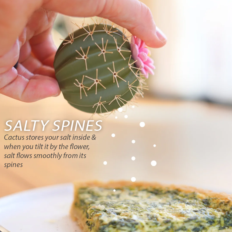 KitchenHarbor™ Cactus Duo Seasoning Shaker