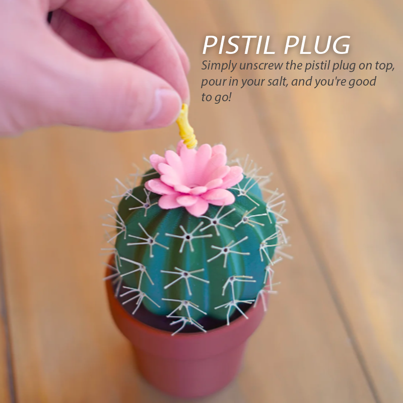 KitchenHarbor™ Cactus Duo Seasoning Shaker