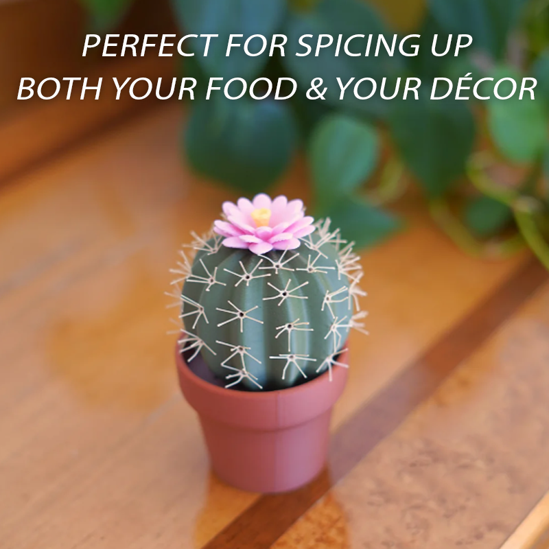 KitchenHarbor™ Cactus Duo Seasoning Shaker